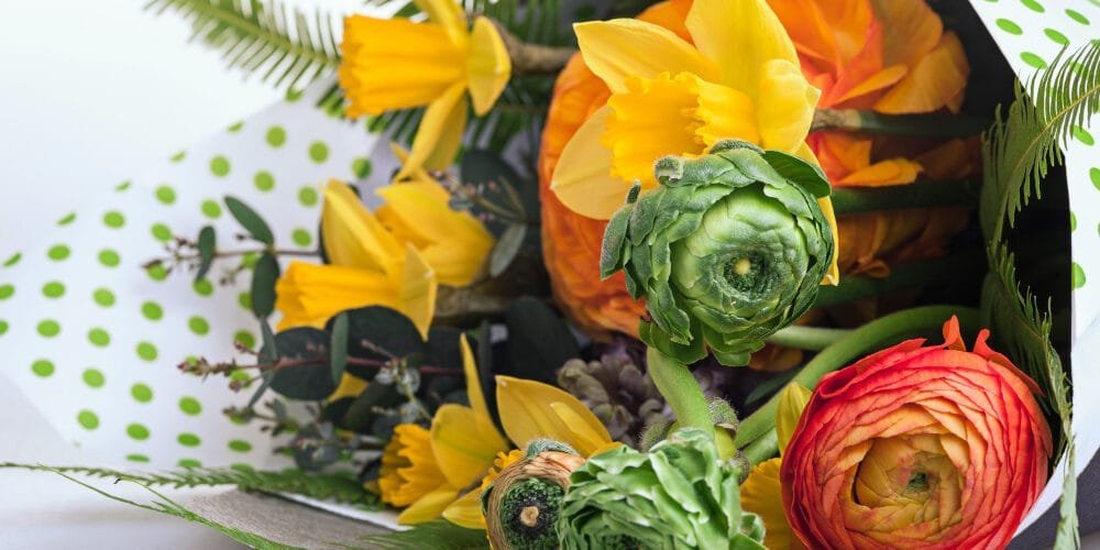 Edible Flowers of Nigeria A Feast for the Eyes and the Palate