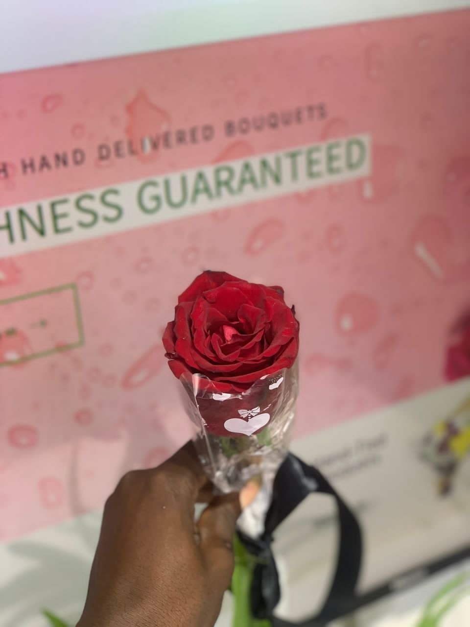 A stem of rose