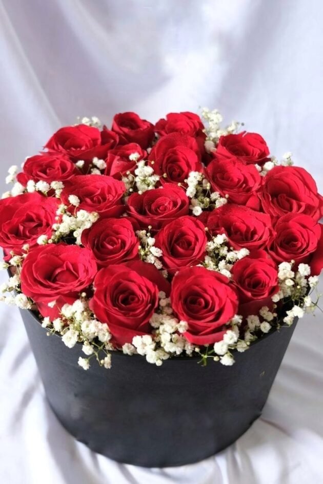 Be Mine - Box of Red Roses with Gypsophila - Image 2
