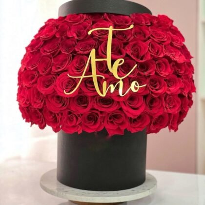 Treasure Red Roses VIP Box