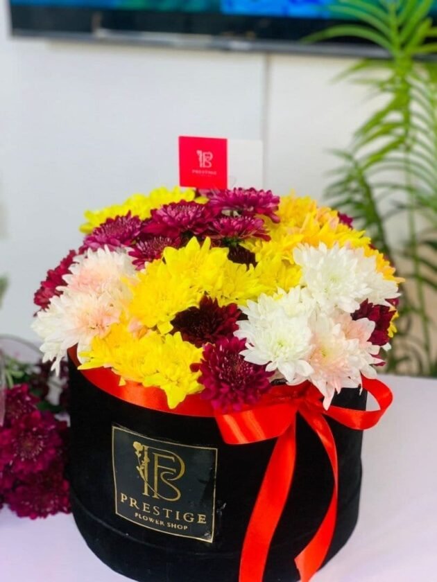 Burst of Joy – Box of Mixed Chrysanthemum