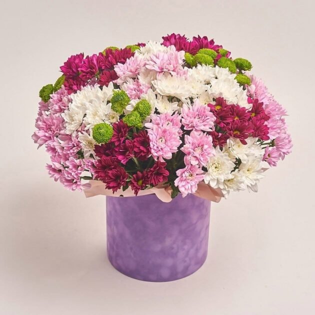 Burst of Joy – Box of Mixed Chrysanthemum - Image 2