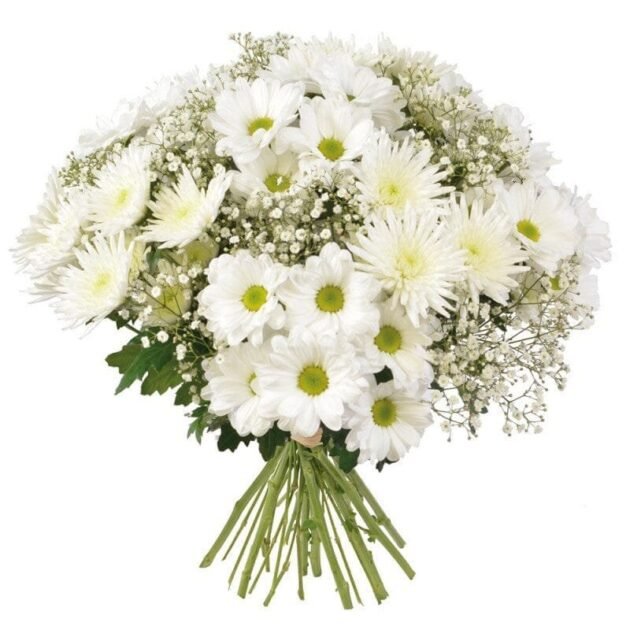 White Chrysanthemum & Gypsophillia Bouquet