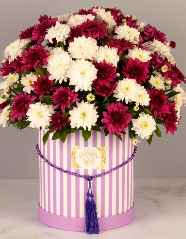 Burst of Joy – Box of Mixed Chrysanthemum - Image 3