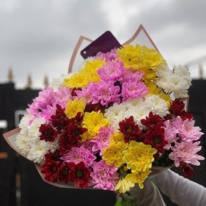 Burst of Joy - Mixed Chrysanthemum