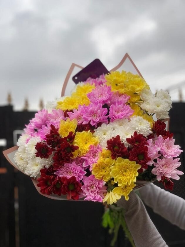 Burst of Joy - Mixed Chrysanthemum