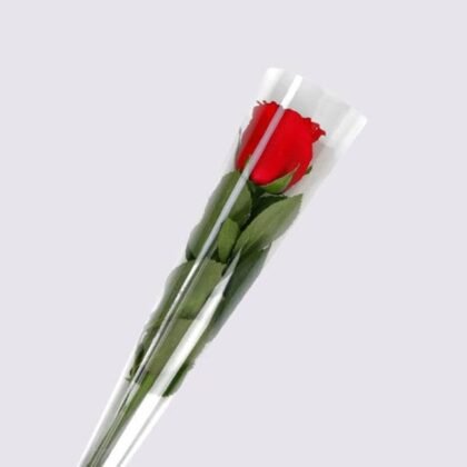 Buy Rose - A Stem of Rose