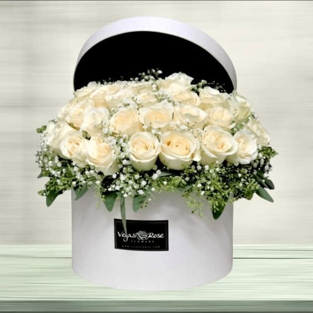 Snow White Roses with Fillers Box